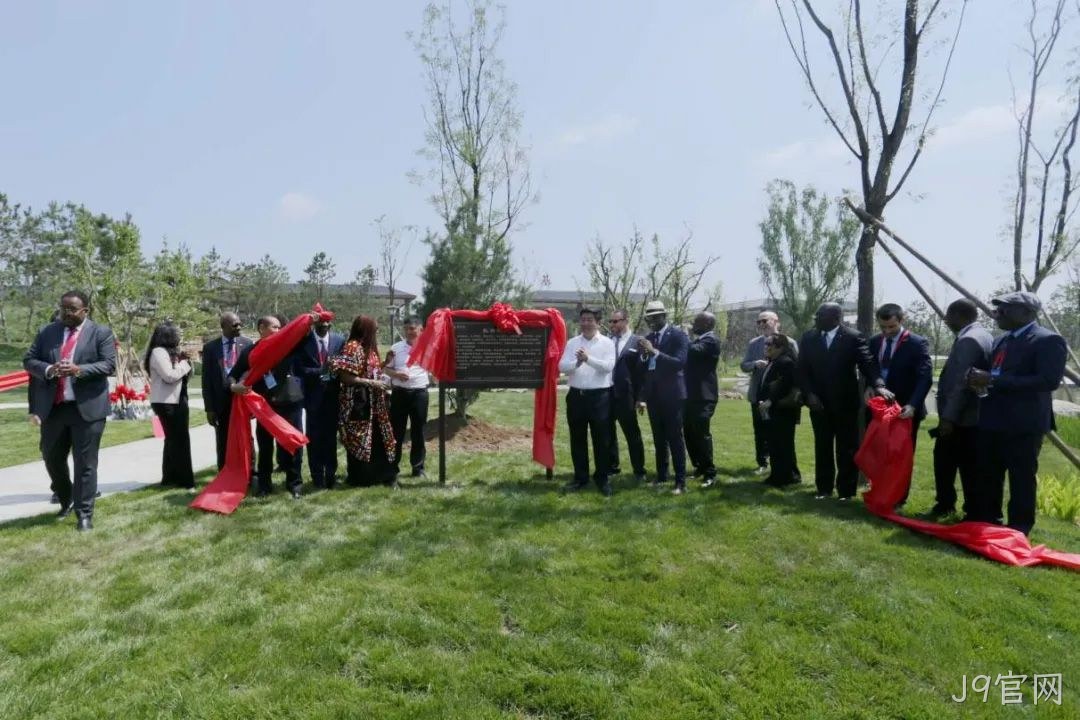 图片5 图片5